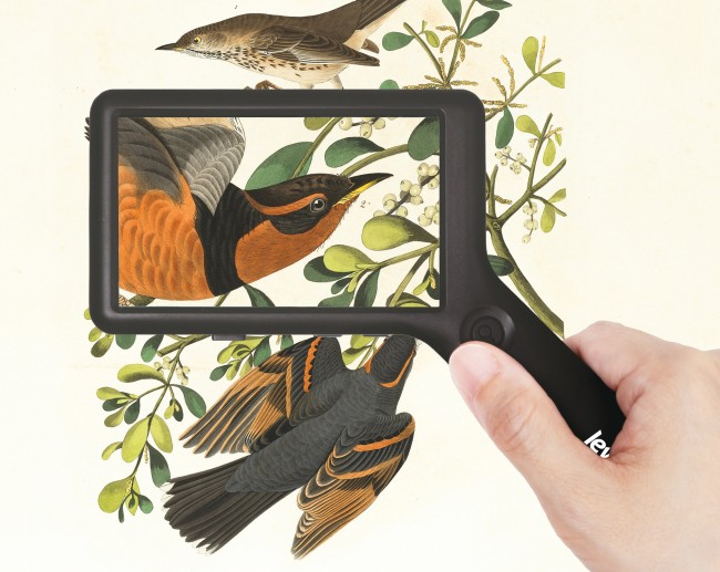 Лупа цифровая Levenhuk ERGO 40 PRO Лупа цифровая Levenhuk ERGO 40 PRO