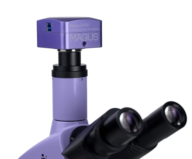 Микроскоп биологический цифровой MAGUS Bio D250T Микроскоп биологический цифровой MAGUS Bio D250T