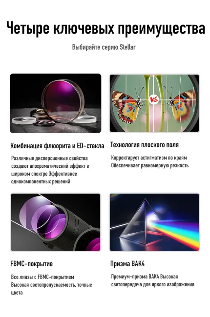 Бинокль Eyeskey Stellar ED 10x42