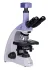 Микроскоп биологический цифровой MAGUS Bio D250TL
