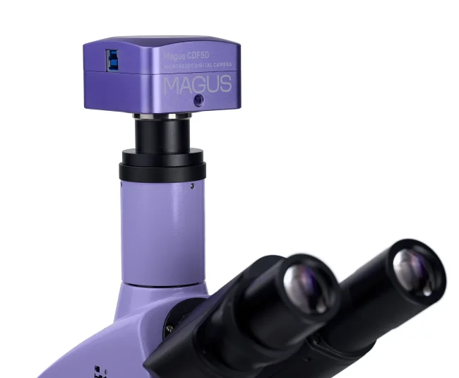 Микроскоп биологический цифровой MAGUS Bio D250TL