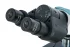 Микроскоп Levenhuk 400B, бинокулярный Микроскоп Levenhuk 400B, бинокулярный