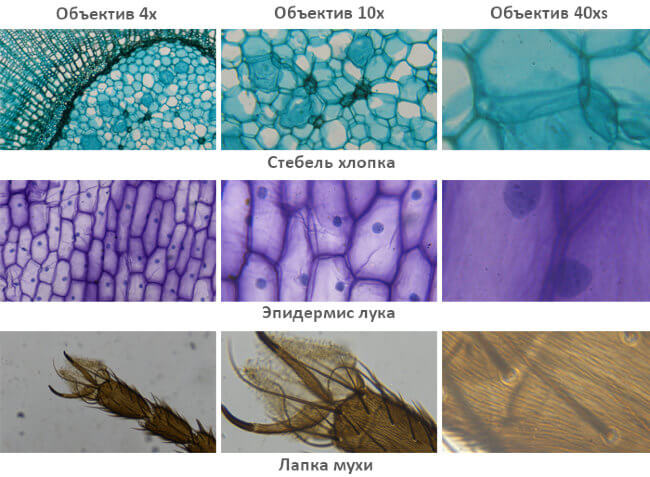 Микроскоп школьный SVBONY SV601 40-1600x Микроскоп школьный SVBONY SV601 40-1600x