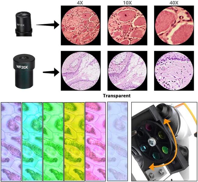 Микроскоп школьный SVBONY SV601 40-1600x Микроскоп школьный SVBONY SV601 40-1600x