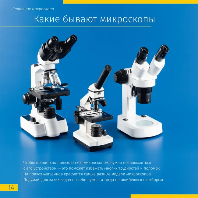 Книга знаний «Невидимый мир» Книга знаний «Невидимый мир»