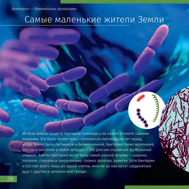 Книга знаний «Невидимый мир» Книга знаний «Невидимый мир»
