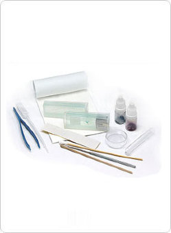 Набор Альтами "Юный биолог"