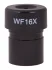 Окуляр Levenhuk Rainbow 50L WF16x