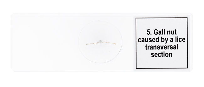 Набор микропрепаратов Discovery Prof DPS 5. «Мутации» Набор микропрепаратов Discovery Prof DPS 5. «Мутации»