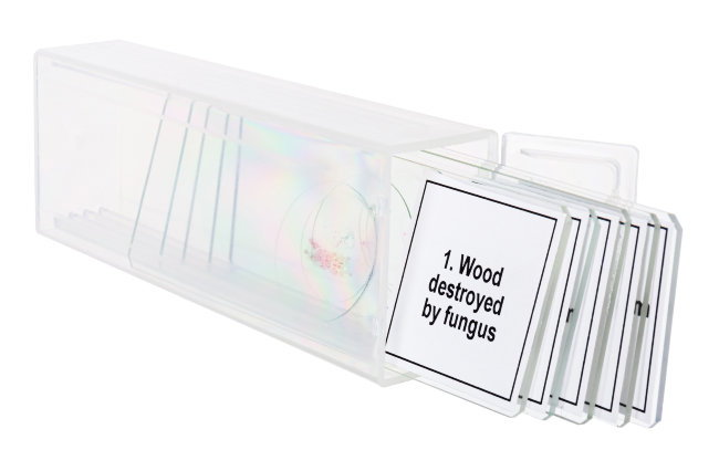 Набор микропрепаратов Discovery Prof DPS 5. «Мутации» Набор микропрепаратов Discovery Prof DPS 5. «Мутации»