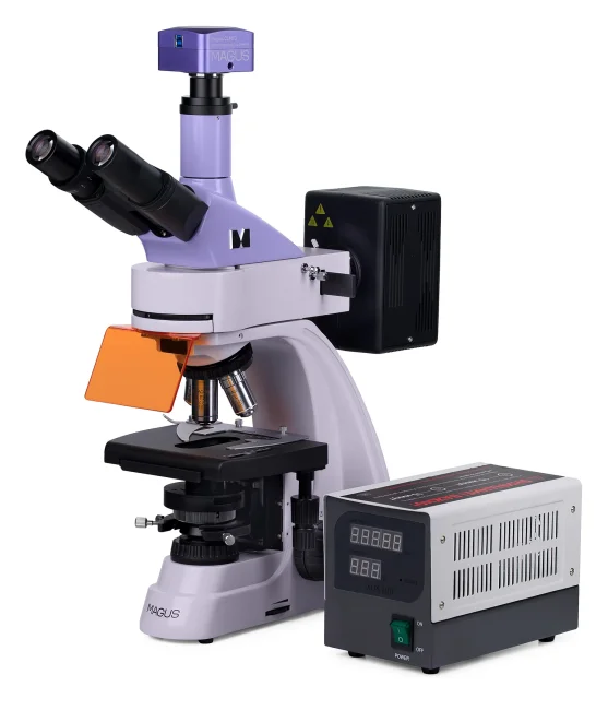Микроскоп люминесцентный цифровой MAGUS Lum D400