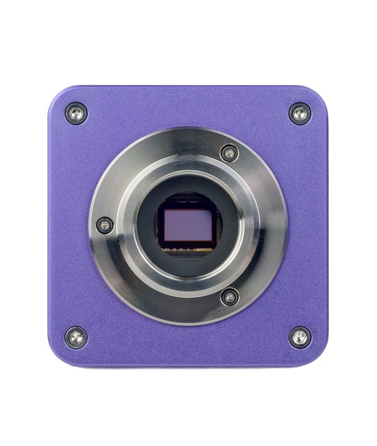 Микроскоп люминесцентный цифровой MAGUS Lum D400