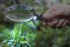 Лупа Levenhuk Zeno 50, 2,2/4,4x, 88/21 мм, 2 LED Лупа Levenhuk Zeno 50, 2,2/4,4x, 88/21 мм, 2 LED