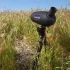 Зрительная труба Celestron C70 Mini Mak Зрительная труба Celestron C70 Mini Mak