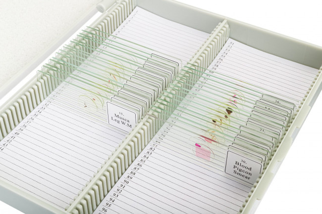 Набор микропрепаратов Bresser «Животные», 30 шт., в кейсе Набор микропрепаратов Bresser «Животные», 30 шт., в кейсе