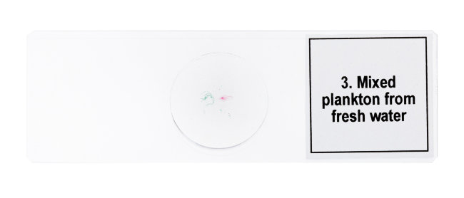 Набор микропрепаратов Discovery Prof DPS 5. «Жизнь в капле воды»