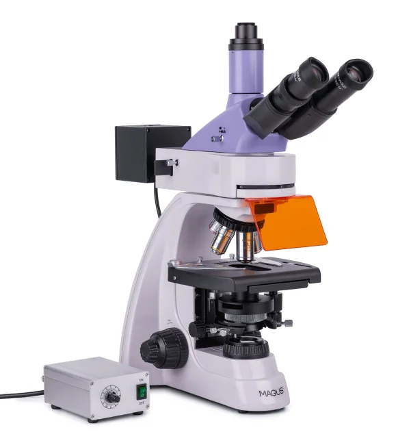 Микроскоп люминесцентный цифровой MAGUS Lum D400L Микроскоп люминесцентный цифровой MAGUS Lum D400L
