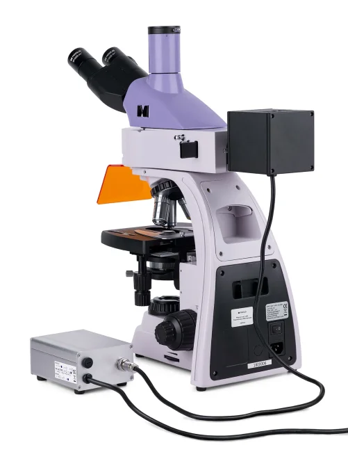 Микроскоп люминесцентный цифровой MAGUS Lum D400L Микроскоп люминесцентный цифровой MAGUS Lum D400L