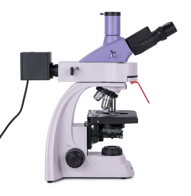 Микроскоп люминесцентный цифровой MAGUS Lum D400L Микроскоп люминесцентный цифровой MAGUS Lum D400L