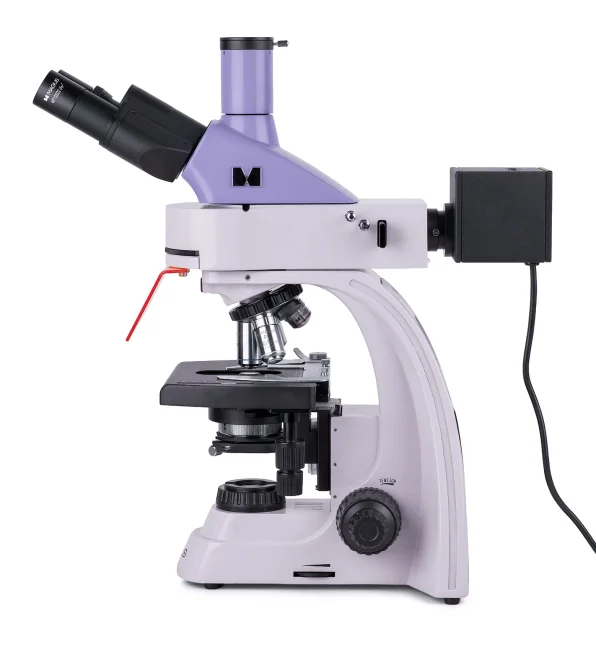 Микроскоп люминесцентный цифровой MAGUS Lum D400L Микроскоп люминесцентный цифровой MAGUS Lum D400L