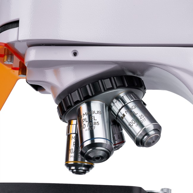 Микроскоп люминесцентный цифровой MAGUS Lum D400L Микроскоп люминесцентный цифровой MAGUS Lum D400L