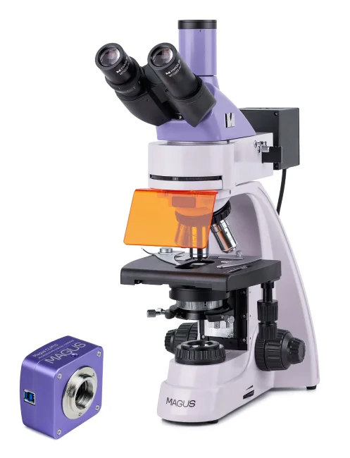 Микроскоп люминесцентный цифровой MAGUS Lum D400L Микроскоп люминесцентный цифровой MAGUS Lum D400L