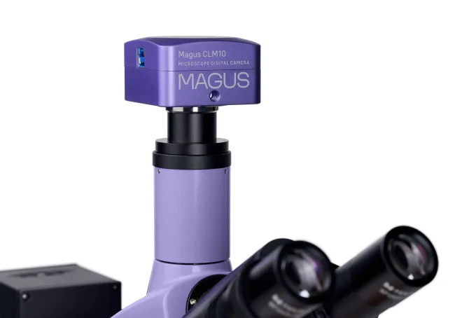 Микроскоп люминесцентный цифровой MAGUS Lum D400L Микроскоп люминесцентный цифровой MAGUS Lum D400L