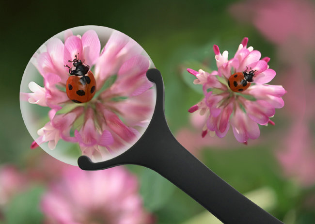 Лупа Levenhuk Zeno 60, 2,5/5x, 88/21 мм, 2 LED Лупа Levenhuk Zeno 60, 2,5/5x, 88/21 мм, 2 LED