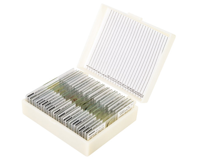 Набор микропрепаратов Konus 25: «Беспозвоночные и насекомые» Набор микропрепаратов Konus 25: «Беспозвоночные и насекомые»