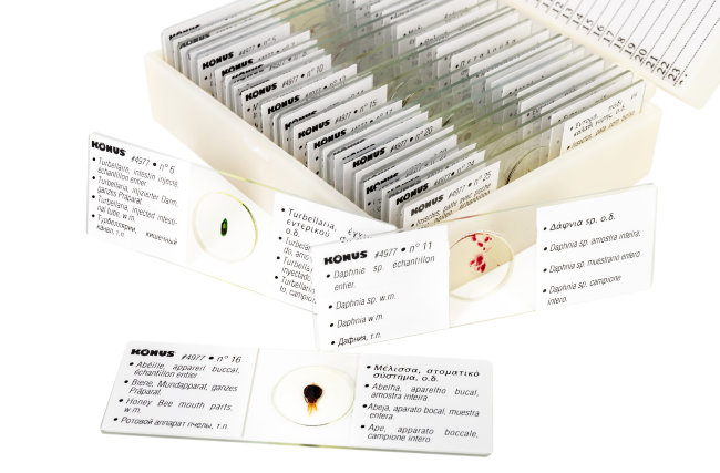 Набор микропрепаратов Konus 25: «Беспозвоночные и насекомые» Набор микропрепаратов Konus 25: «Беспозвоночные и насекомые»