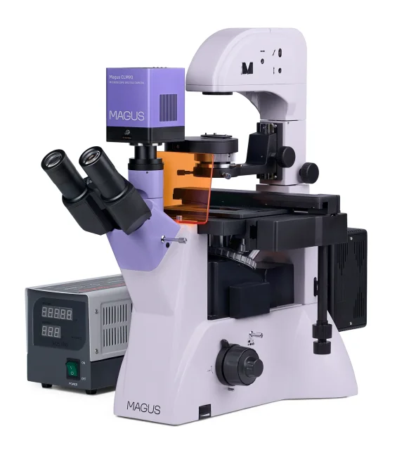 Микроскоп люминесцентный инвертированный цифровой MAGUS Lum VD500