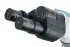 Микроскоп Levenhuk 500B, бинокулярный Микроскоп Levenhuk 500B, бинокулярный