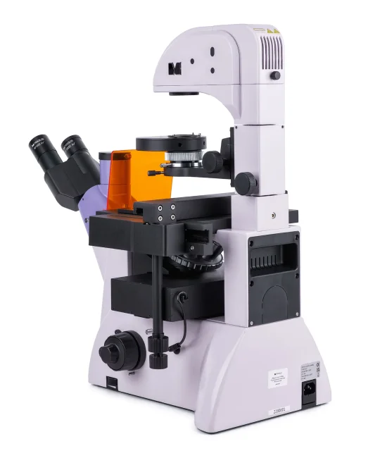 Микроскоп люминесцентный инвертированный цифровой MAGUS Lum VD500L Микроскоп люминесцентный инвертированный цифровой MAGUS Lum VD500L