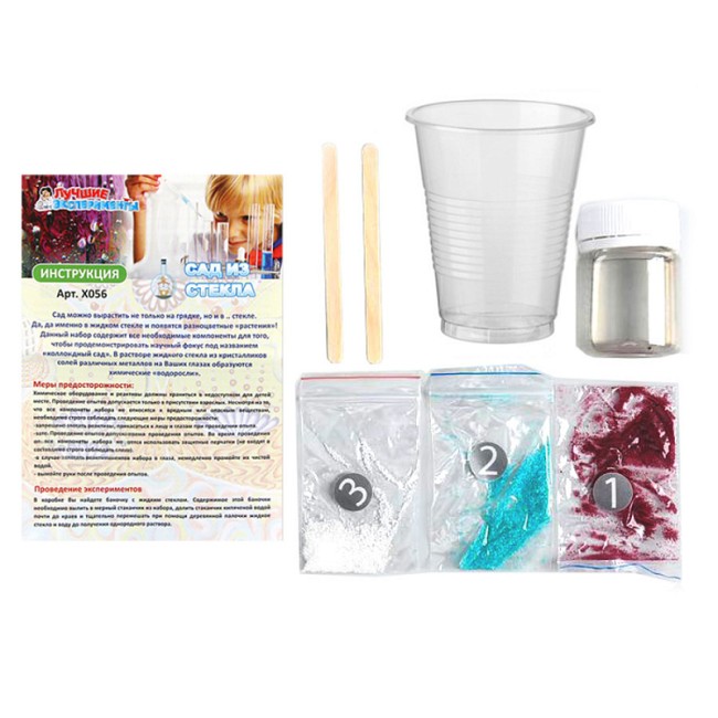 Стеклянный сад, опыт в ведерке Лучшие Эксперименты