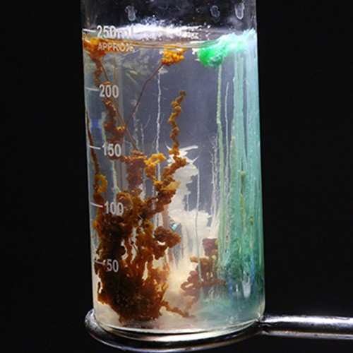 Стеклянный сад, опыт в ведерке Лучшие Эксперименты