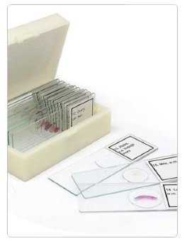 Набор микропрепаратов Альтами "Ткани животных" (15 стекол)