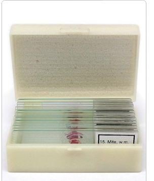 Набор микропрепаратов Альтами "Ткани животных" (15 стекол)