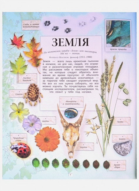 Дневник юного натуралиста