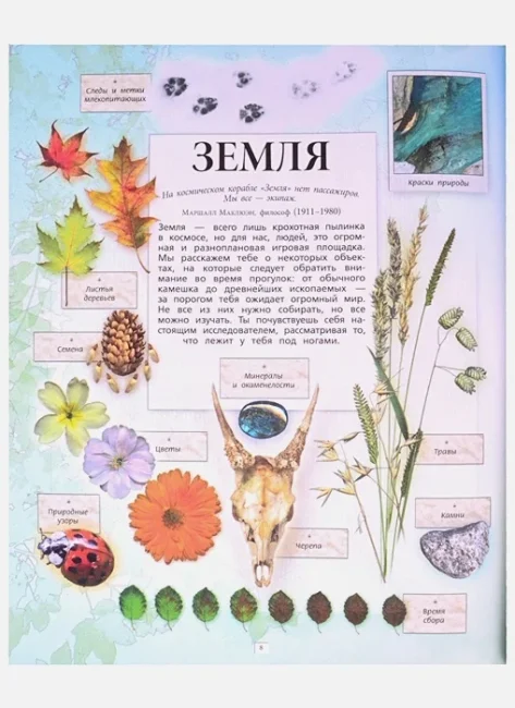 Дневник юного натуралиста