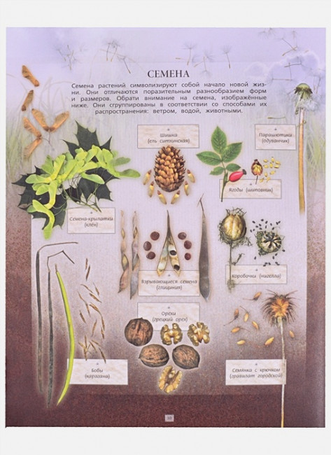 Дневник юного натуралиста