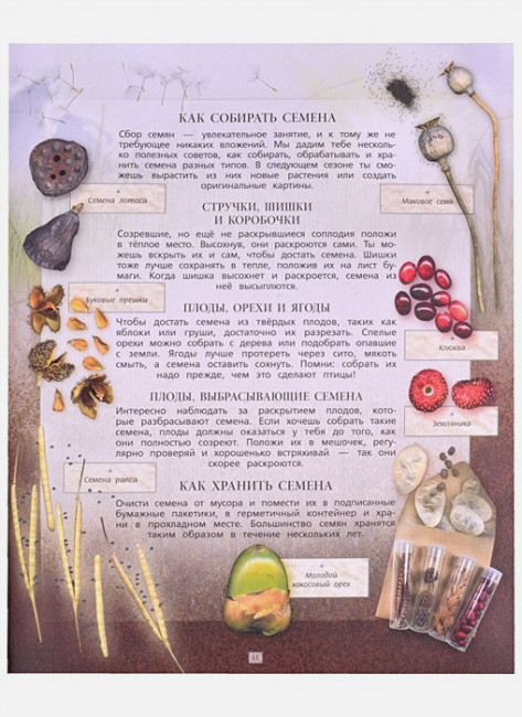 Дневник юного натуралиста