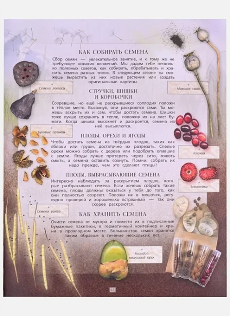 Дневник юного натуралиста