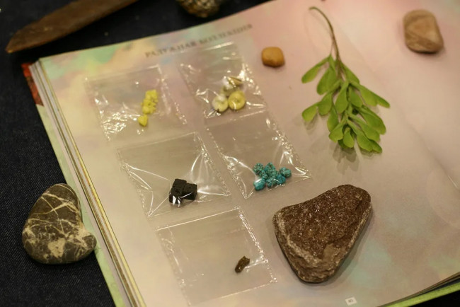 Дневник юного натуралиста