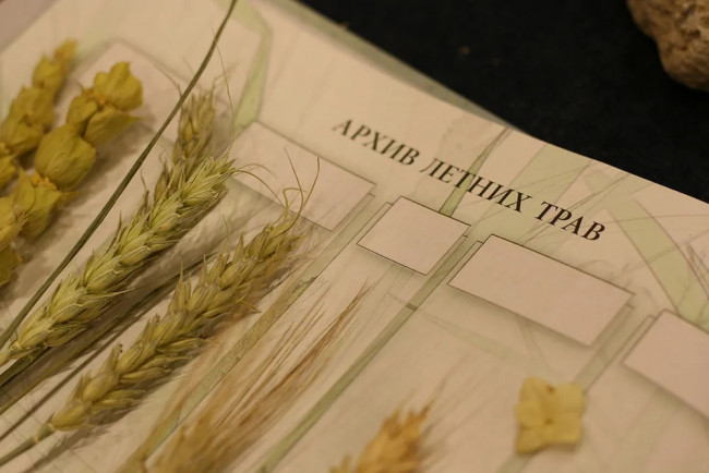 Дневник юного натуралиста