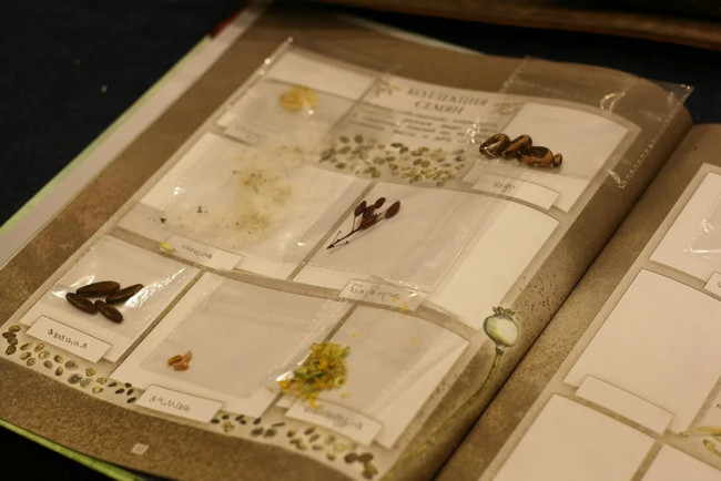 Дневник юного натуралиста