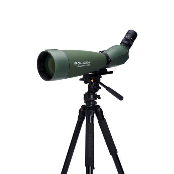 Зрительная труба Celestron Regal M2 100 ED
