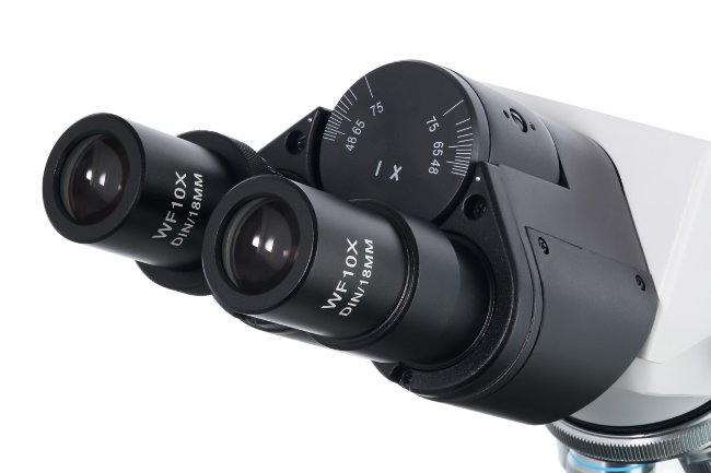 Микроскоп Levenhuk 900B, бинокулярный Микроскоп Levenhuk 900B, бинокулярный