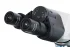 Микроскоп Levenhuk 900B, бинокулярный Микроскоп Levenhuk 900B, бинокулярный