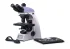 Микроскоп биологический MAGUS Bio 260T Микроскоп биологический MAGUS Bio 260T
