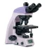 Микроскоп биологический MAGUS Bio 260T Микроскоп биологический MAGUS Bio 260T